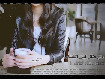 ��� ����