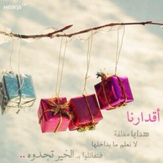 2f175c05295b6e124c0d195780e2d4e8