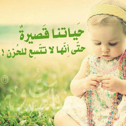 561856 154945994646214 1213932381 n