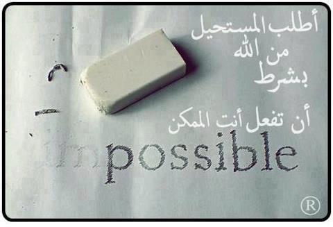 66726 10151262902728647 895256805 n