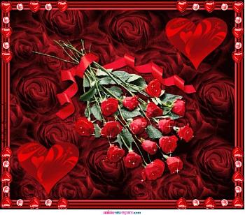 ���� ����