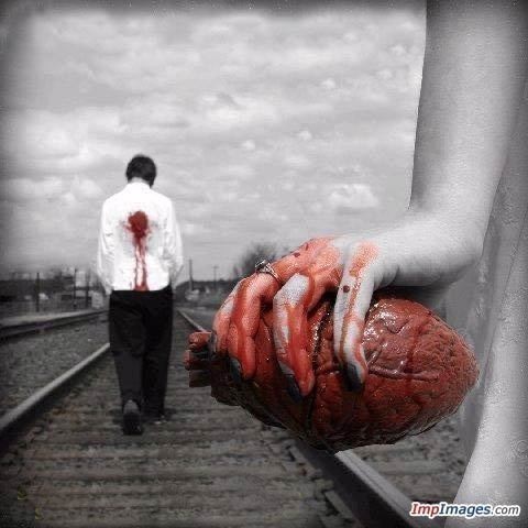 ��� ���� ����� ��������