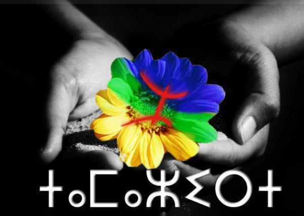 313204 246999052087424 50388023 n