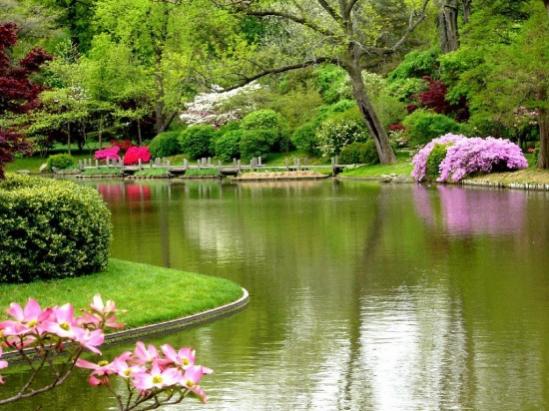 D8B7D8A8D98AD8B9D8A9 1