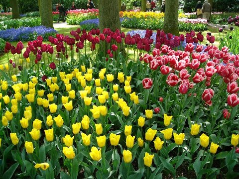 254910 467470259972489 770661458 n