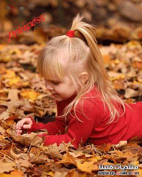 qlbna com13401491778