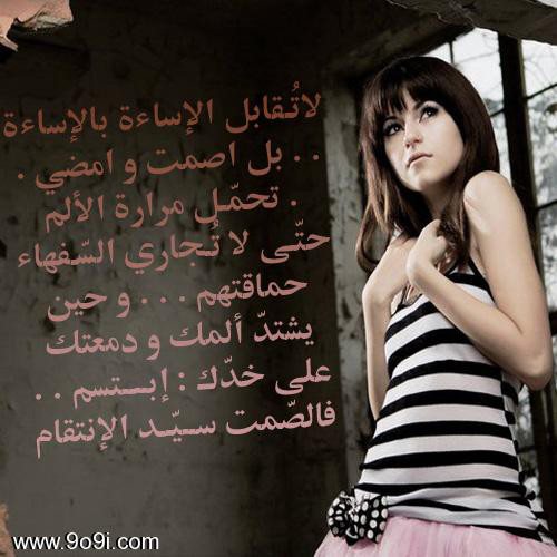 user895265 pic8505 1338399453