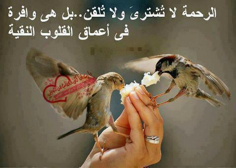 282588 176917749120937 1467112144 n