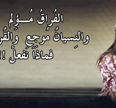 19202 407468812679237 378005166 n