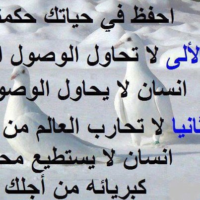 734860 407643742661744 898631805 n