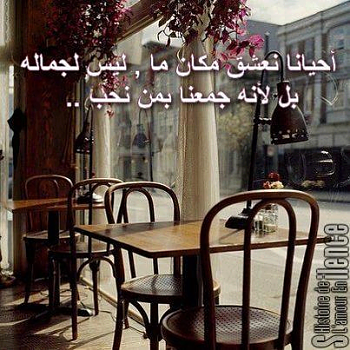 71869 407472439345541 2074206818 n