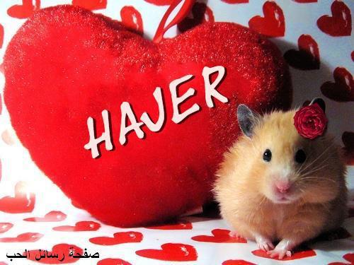 386758 209516692463032 136241719790530 459679 1542278968 n