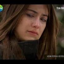 379220 500012046704356 1731607178 n (1)