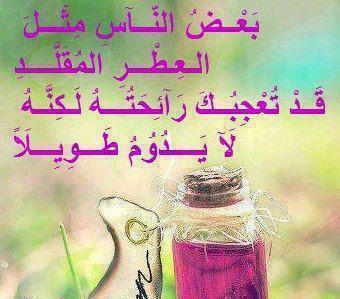 68676 518449244842801 24208083 n