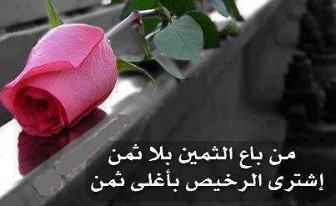 69648 558741947483437 1261378901 n