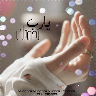 428723 231870920236097 100002395728836 493571 1462931832 n