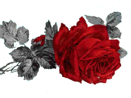 fleure
