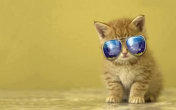 206708 402992476447020 1136264740 n