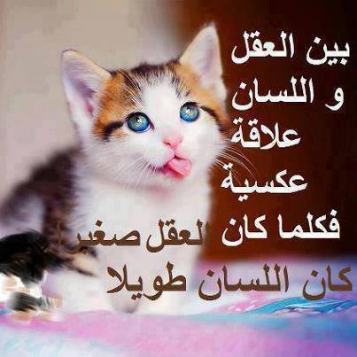 1017037 573663199380224 710131505 n