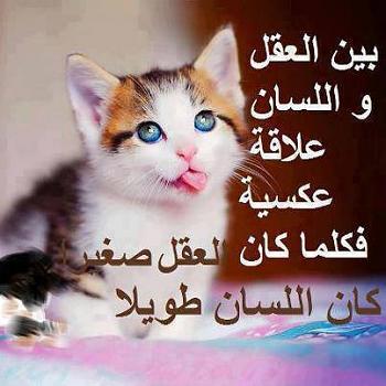 1017037 573663199380224 710131505 n