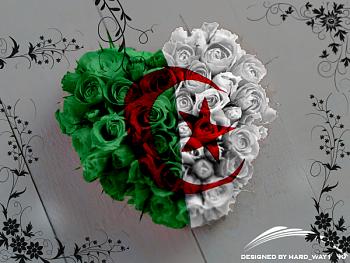18ebeb454af39978eda2facf9e4f44ff