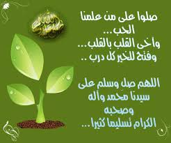 images (1)