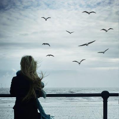 559572 1662517210554699 1710579727 n