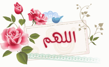 1 islamic signature www ward2u com