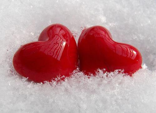 189667 138586662876131 8219526 n