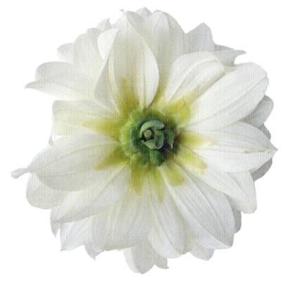 ����� �� ������