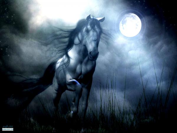 ��� ����� ����� �������