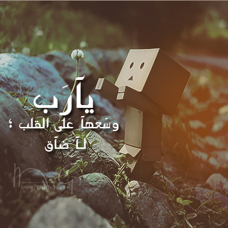 eef4b39650ea704c9b06eea35b03e712