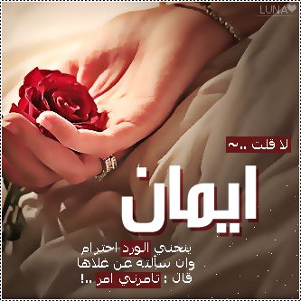 d msh.com 1362678971 189