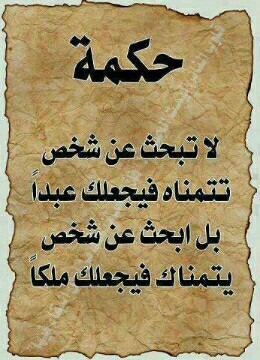 1098114 503277233092197 1974545205 n