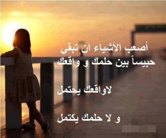 999575 500007760085811 1508185994 n