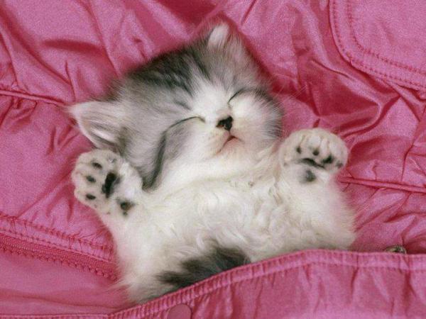 1185049 317304365081864 851222209 n