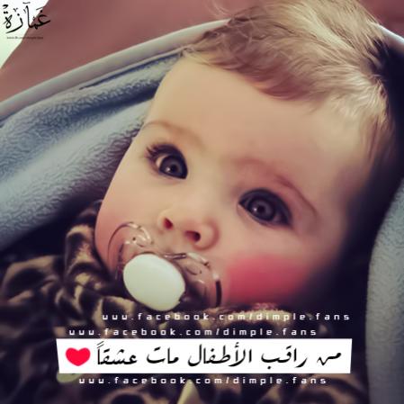 1385261 223788101136339 2114308466 n