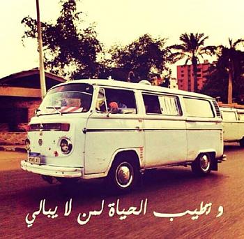 10406407 652928821460709 7086383508870484864 n