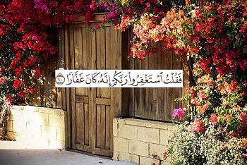 247069 523100811079349 866426946 n