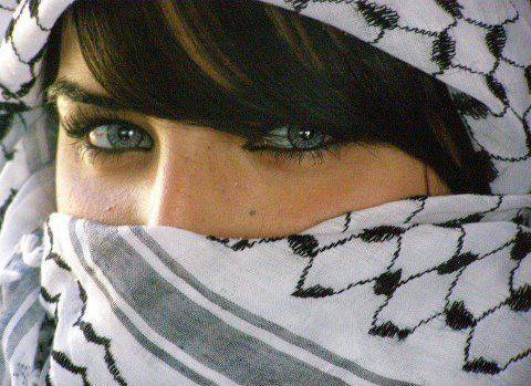 1526182 1409487505960604 79808189 n