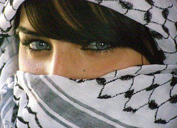 1526182 1409487505960604 79808189 n