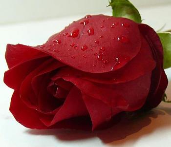 9c1828d7ec70fa04dfd58ed12f120401