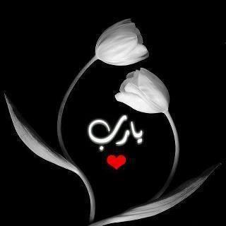 405248 524501970898376 1866543875 n