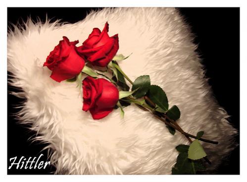 2260981981 8e6df25a55[1]