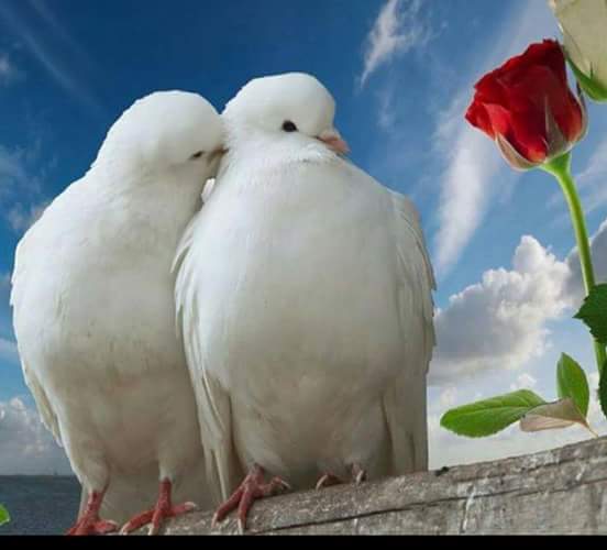 FB IMG 1424552668094