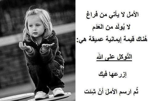 11717 562385527113110 736861103 n