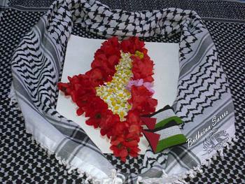 1069796 654930467907324 6981439052318479743 n