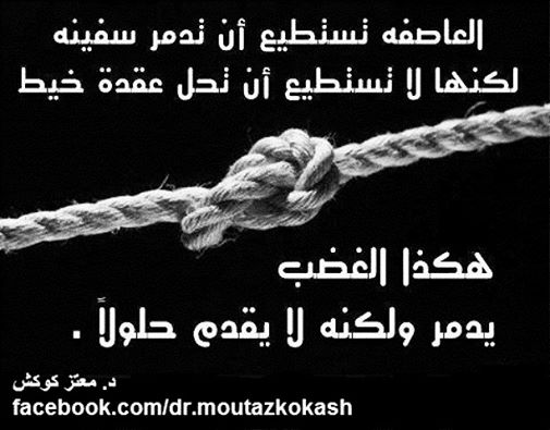 10565070 741563565903659 3477830237012599949 n