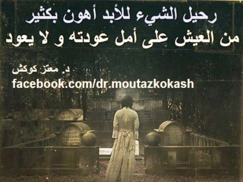 10599361 740727855987230 3073140263496318942 n