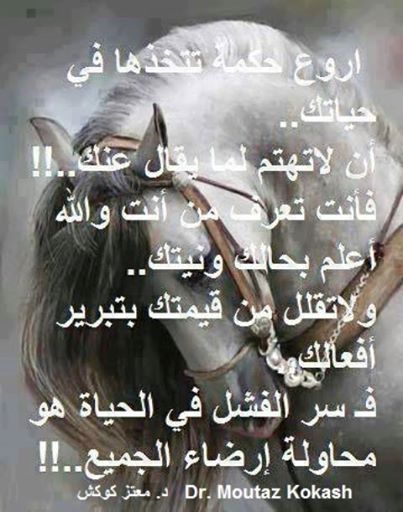 10516661 742871629106186 5967887504146313756 n